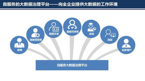 普元信息王軒 第二屆數據標準化及治理大會洞察——以自動化為核心的大數據治理新趨勢